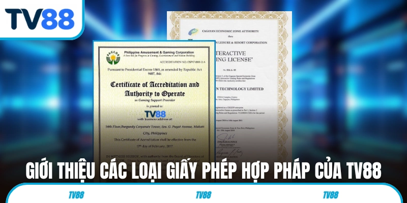 Giới thiệu các loại giấy phép hợp pháp của TV88