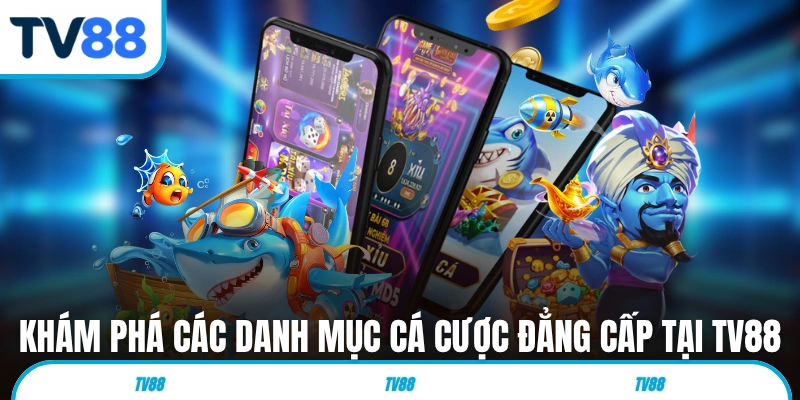 Khám phá các danh mục cá cược đẳng cấp tại TV88