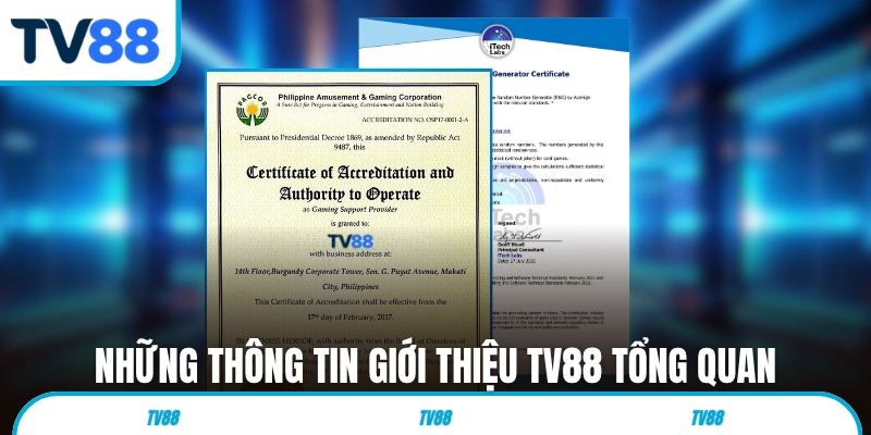 Những thông tin giới thiệu TV88 tổng quan